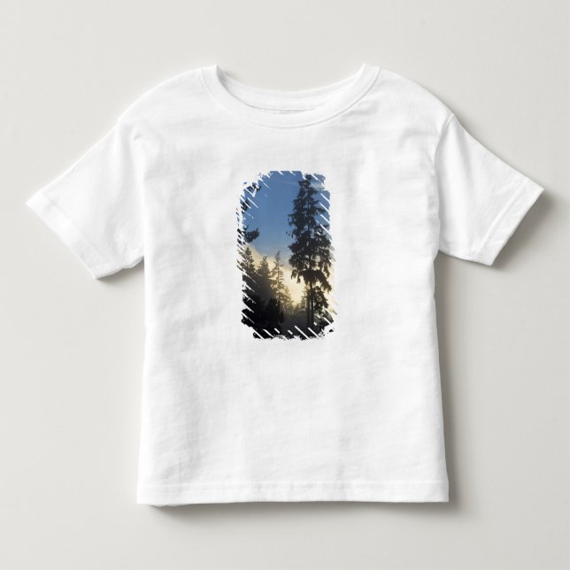 Stanley Park, Wald, Nebel der Meeresschicht Kleinkind T-shirt (Vorderseite)