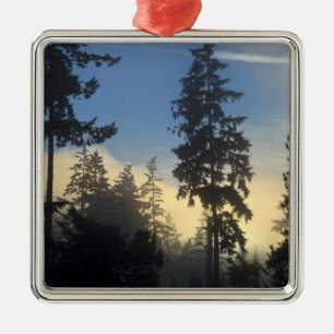 Stanley Park, Wald, Nebel der Meeresschicht Silbernes Ornament
