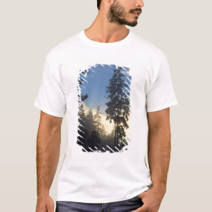 Stanley Park, Wald, Nebel der Meeresschicht T-Shirt