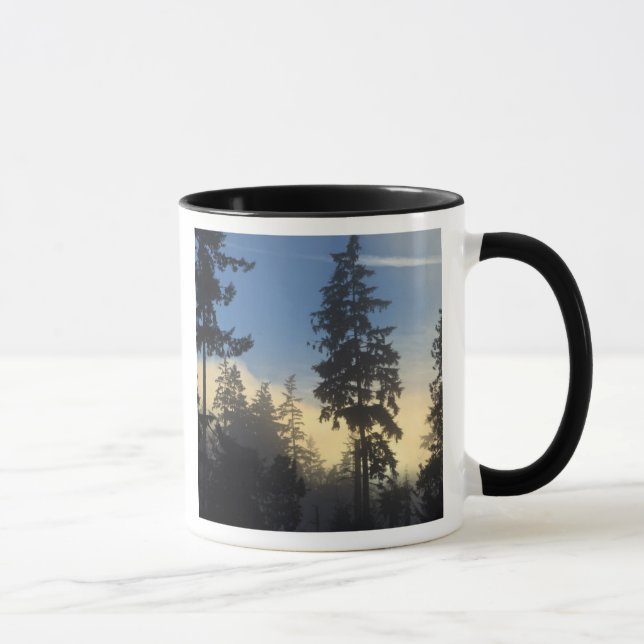 Stanley Park, Wald, Nebel der Meeresschicht Tasse (Rechts)
