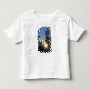 Stanley Park, Wälder, Meeresnebelschicht zieht her Kleinkind T-shirt