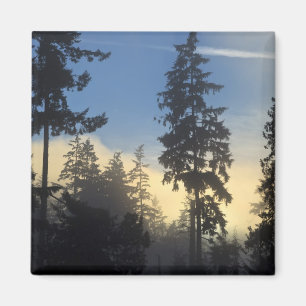 Stanley Park, Wälder, Meeresnebelschicht zieht her Magnet