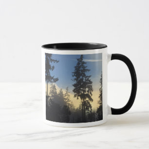 Stanley Park, Wälder, Meeresnebelschicht zieht her Tasse