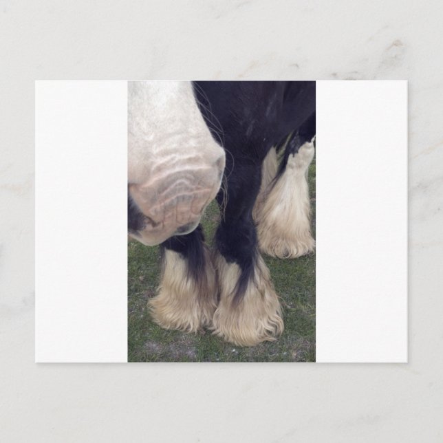 Stanley Postkarte (Vorderseite)