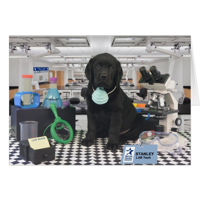 Stanley-Woche 8 (Vorderseite (Horizontal))