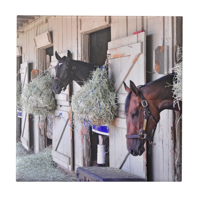 Stanwyck durch Reich-Hersteller Fliese (Vorderseite)