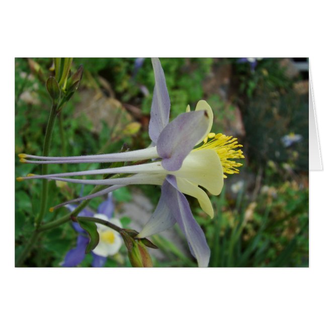 Stanza di vedere (Vorderseite (Horizontal))