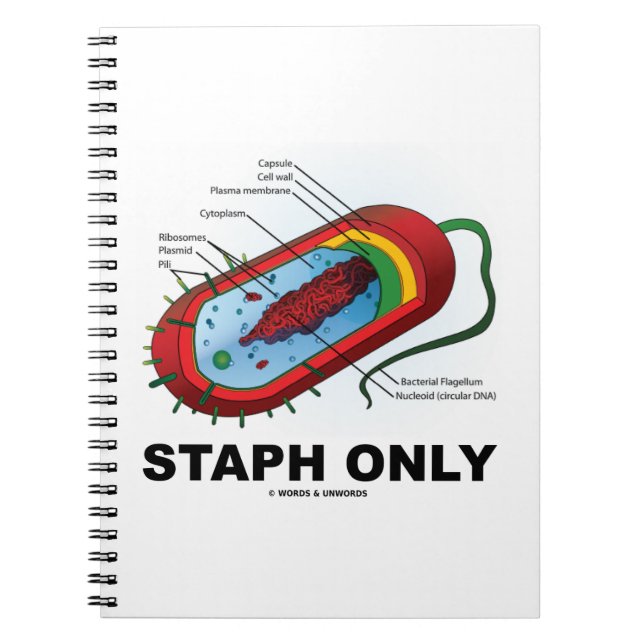 Staph nur (Bakteriendiagramm Prokaryote Bakterien) Notizblock (Vorderseite)