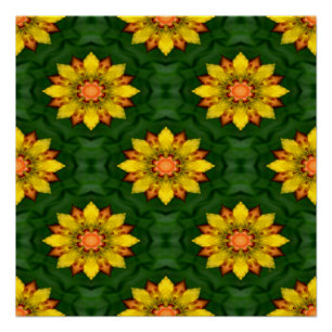 Star-Blume... Poster