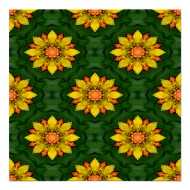 Star-Blume... Poster (Vorderseite)