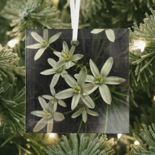 Star der Bethlehem Blume Beveled Glass Ornament
