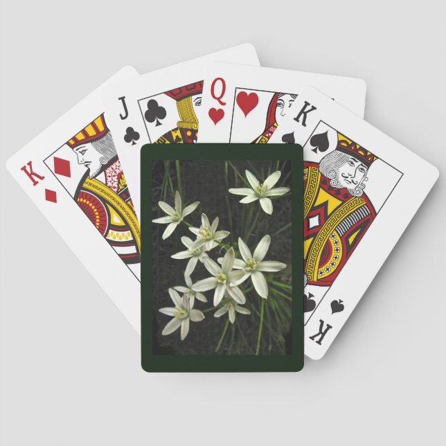 Star der Bethlehem Blume Spielkarten (Rückseite)