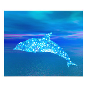 Star Dolphin Fotodruck