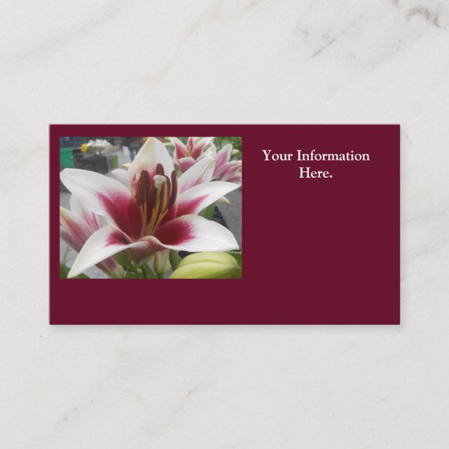 Star Gazer Visitenkarte (Vorderseite)