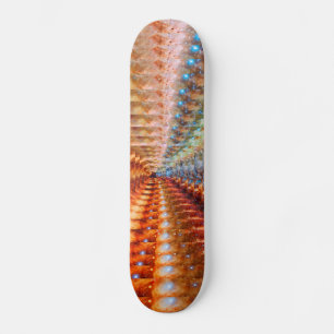 Star Infinity Skateboard