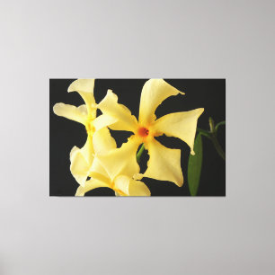 Star Jasmine Blume 60x40 (150x100cm) Waca Leinwanddruck