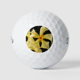 Star Jasmine Blume cwb gbcna Golfball