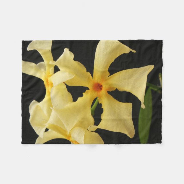 Star Jasmine Blume fbcna Fleecedecke (Vorderseite (Horizontal))