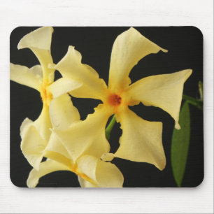 Star Jasmine Blume Mousepad