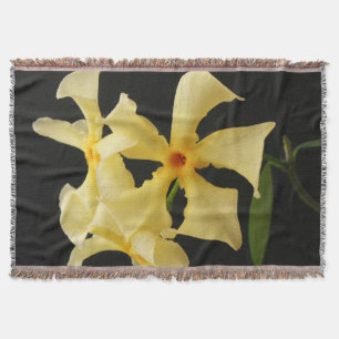 Star Jasmine Blume tbcn Decke