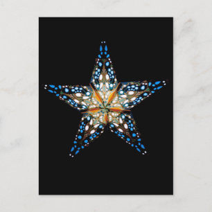 Star LIght #2 Postkarte