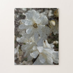 Star Magnolia Blooms Jigsaw Puzzle