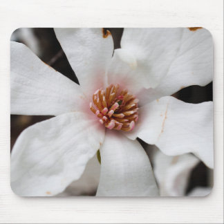 Star Magnolia Mouse Pad Mousepad