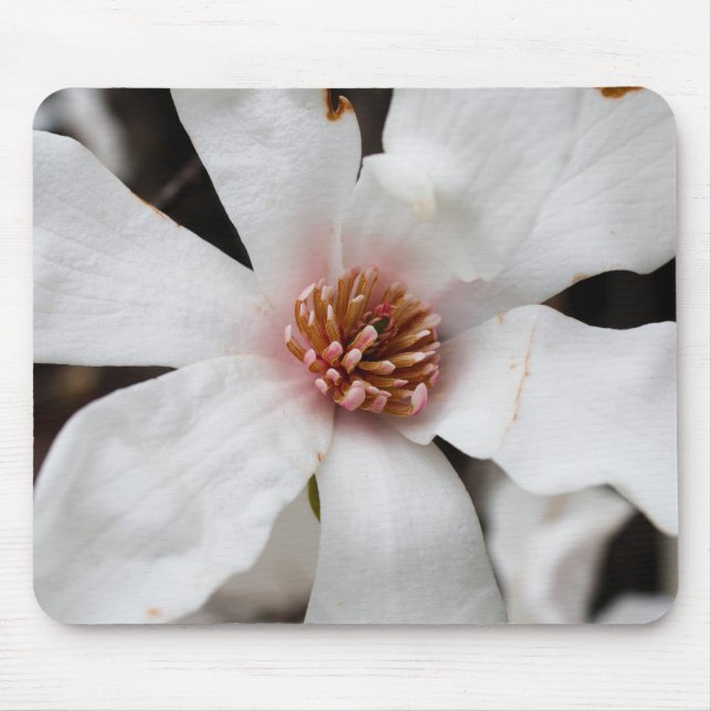 Star Magnolia Mouse Pad Mousepad (Vorne)