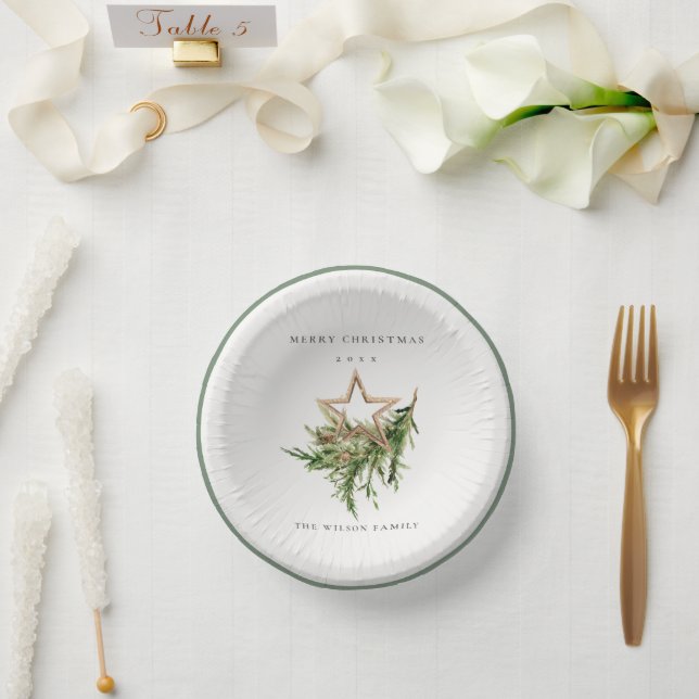 Star Ornament Pine Branch Fauna Frohe Weihnachten Pappteller (Hochzeit)