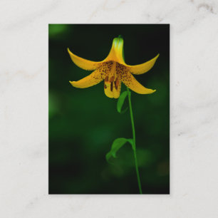 Star Pose Mini Print Visitenkarte