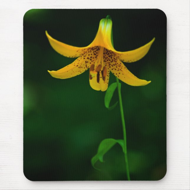 Star Pose Mousepad (Vorne)