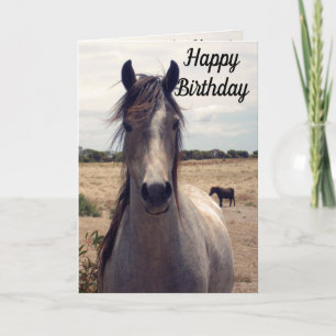 Star The Arab Pony, carte d'anniversaire