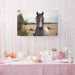 Star The Arab Pony, das Geburtsbanner Banner