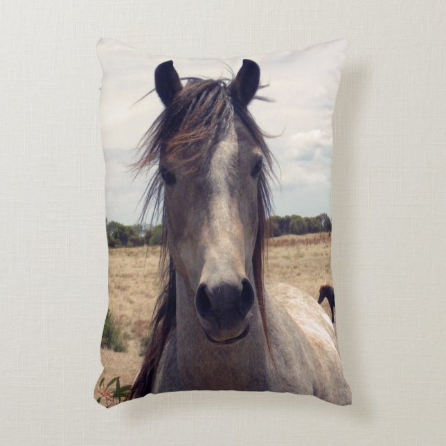 Star The Arab Pony, Dekokissen (Vorderseite(Vertikal))
