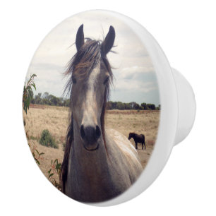 Star The Arab Pony, Keramikknauf