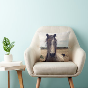 Star The Arab Pony, Kissen