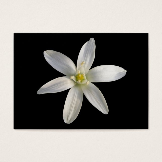 Star von Bethlehem ~ ATC-Karte (Vorderseite)
