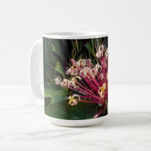 Starburst Clerodendrum Fleurs Mug
