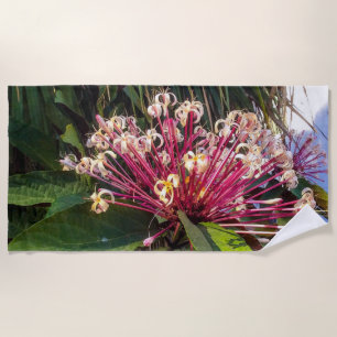 Starburst Clerodendrum Fleurs Plage Serviette