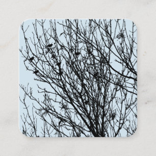 Stare im Baum - Schwarz auf Hellblau D3E5EF Quadratische Visitenkarte