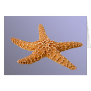 Starfish