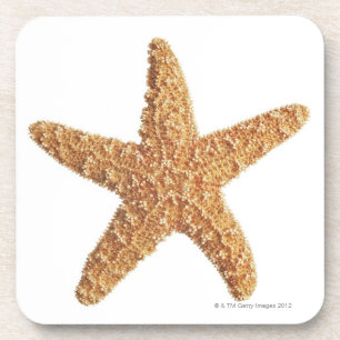 Starfish abgeschieden auf Weiß Getränkeuntersetzer
