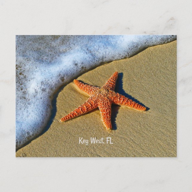 Starfish am Strand in Key West, Florida, Postkarte (Vorderseite)