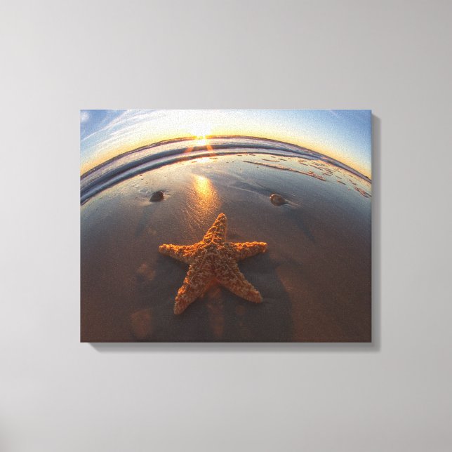 Starfish am Strand Leinwanddruck (Vorderseite)