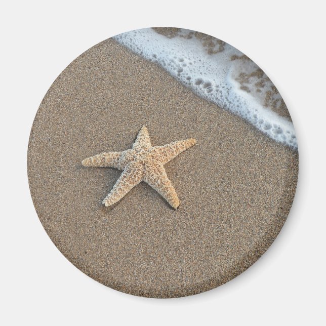 Starfish am Strand Magnet (Vorne)