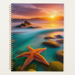 Starfish am Strand von Dawn Planer