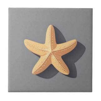 Starfish and Its Shadow Fliese