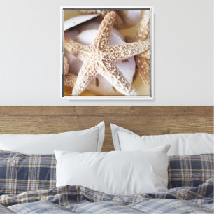 Starfish and Sand Dollars Küste Gerahmt Leinwanddruck