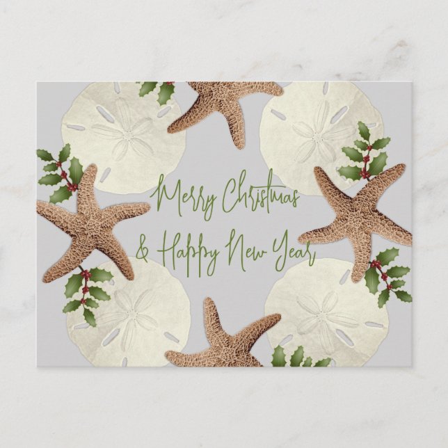 Starfish and Sand Dollars Weihnachtskarte Postkarte (Vorderseite)