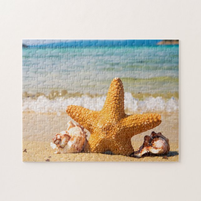 Starfish and Seashells am Strand (Horizontal)